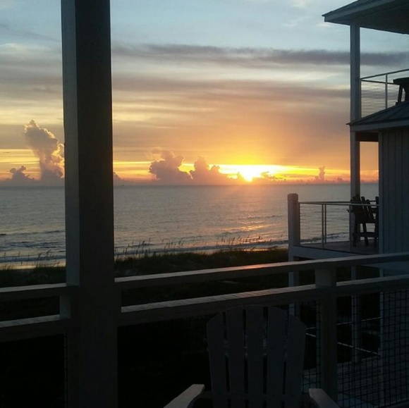 Meet your Posher, Nicky - Picture 1 of 1